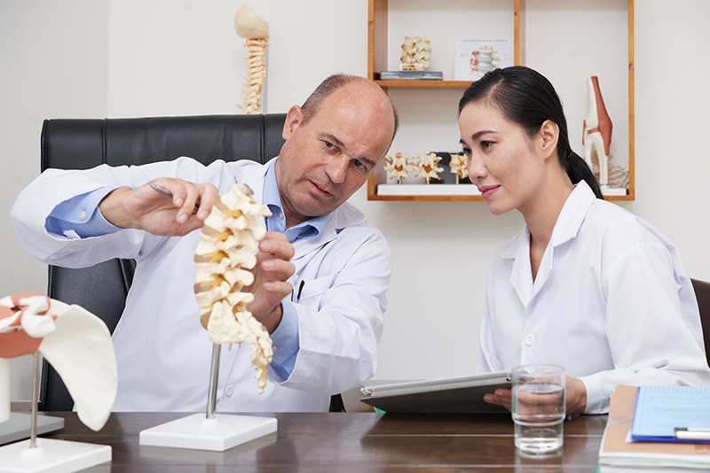 Four subjects an osteopath studies